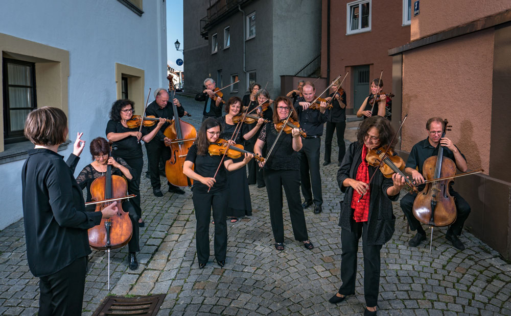 Das Kammerorchester Plena Voce